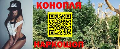 стафф Аргун