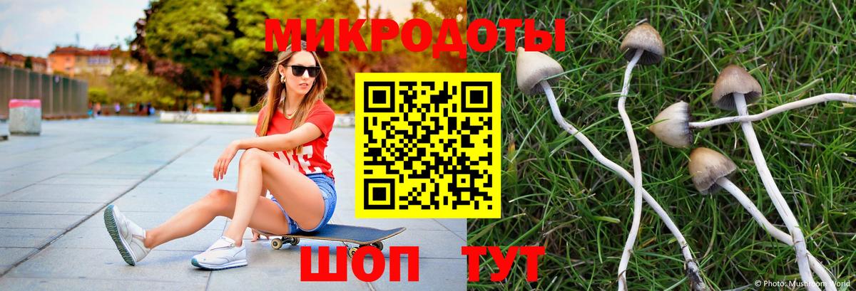 Галлюциногенные грибы MAGIC MUSHROOMS Брянск